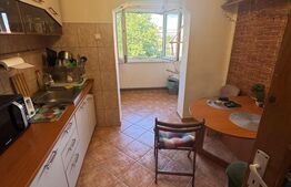 Apartament 2 camere, 52 mp, zona Brazda lui Novac