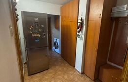 Apartament 2 camere, 52 mp, zona Brazda lui Novac