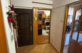 Apartament 2 camere, 52 mp, zona Brazda lui Novac