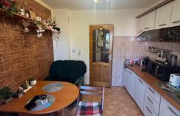 Apartament 2 camere, 52 mp, zona Brazda lui Novac