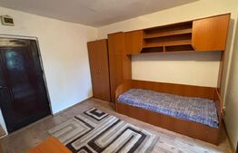 Camera de camin, 25 mp, zona Valea Rosie
