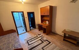 Camera de camin, 25 mp, zona Valea Rosie
