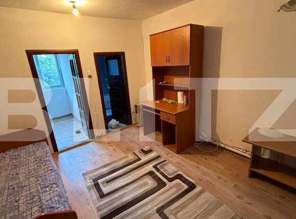 Garsonieră de vânzare Valea Rosie - 202787AV | BLITZ Craiova | Poza2