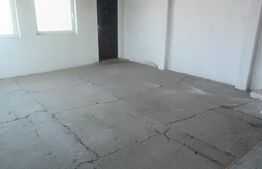 Casa P+1, 186 mp utili, 339 mp teren, zona Brestei