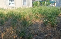 Casa P+1, 186 mp utili, 339 mp teren, zona Brestei