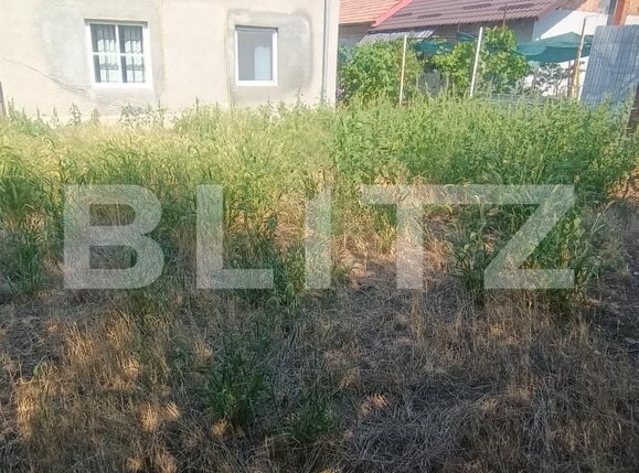 Casa de vânzare 5 camere Brestei - 202835CV | BLITZ Craiova | Poza10