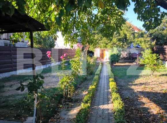 Casa de vânzare 3 camere Romanesti - 202875CV | BLITZ Craiova | Poza3