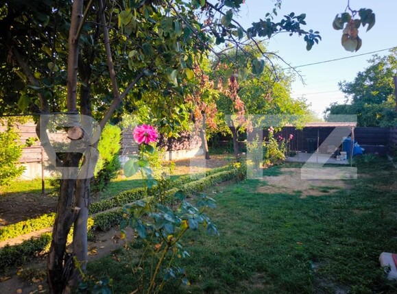 Casa de vânzare 3 camere Romanesti - 202875CV | BLITZ Craiova | Poza2