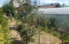 Casa P+1 de vanzare, 125 mp, zona Romanesti