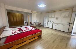 Studio open-space, 42 mp, zona Brazda lui Novac