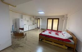Studio open-space, 42 mp, zona Brazda lui Novac