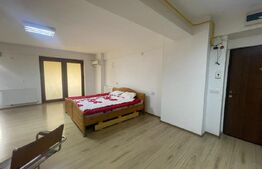 Studio open-space, 42 mp, zona Brazda lui Novac