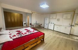 Studio open-space, 42 mp, zona Brazda lui Novac