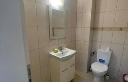 Studio open-space, 42 mp, zona Brazda lui Novac