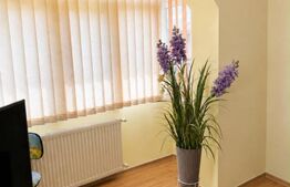 Apartament 2 camere, 42 mp, zona Bals