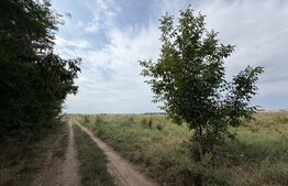 Parcela 702 mp, dubla deschidere, Carcea - Metro