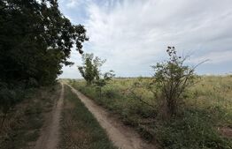 Parcela 702 mp, dubla deschidere, Carcea - Metro