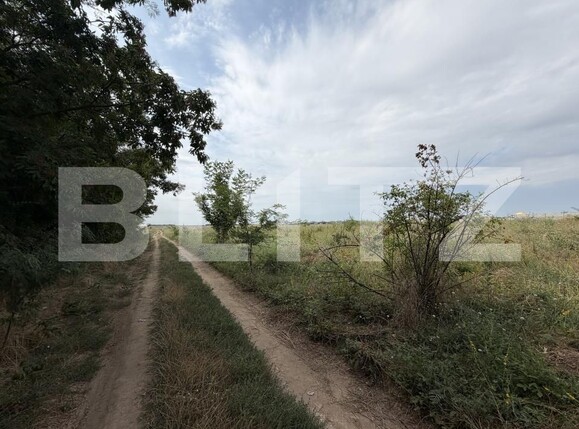 Teren de vânzare Exterior Est - 203034TV | BLITZ Craiova | Poza2
