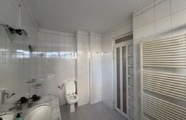 Duplex, 800 mp, zona Centru