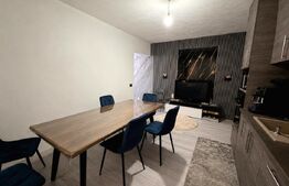 Apartament 2 camere, 50 mp, zona Centrala
