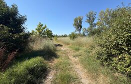 Teren de vanzare, certificat urbanism, 6.325 mp, zona Lapus Arges 
