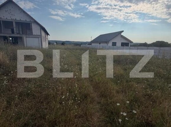 Teren de vânzare Filiaşi - 203148TV | BLITZ Craiova | Poza2