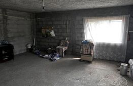Casa pe parter Brestei, 125 mpu, 470 mp teren
