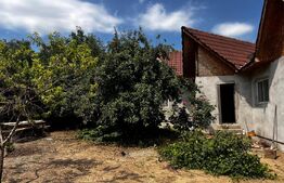 Casa pe parter Brestei, 125 mpu, 470 mp teren