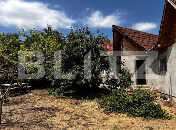 Casa de vânzare 4 camere Brestei - 203223CV | BLITZ Craiova | Poza14