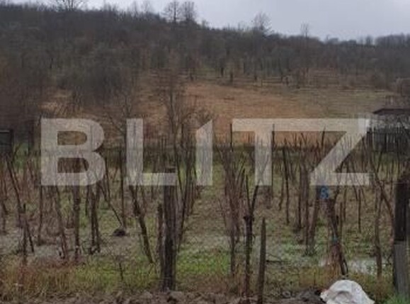 Casa de vânzare 3 camere Exterior Sud - 203250CV | BLITZ Craiova | Poza4