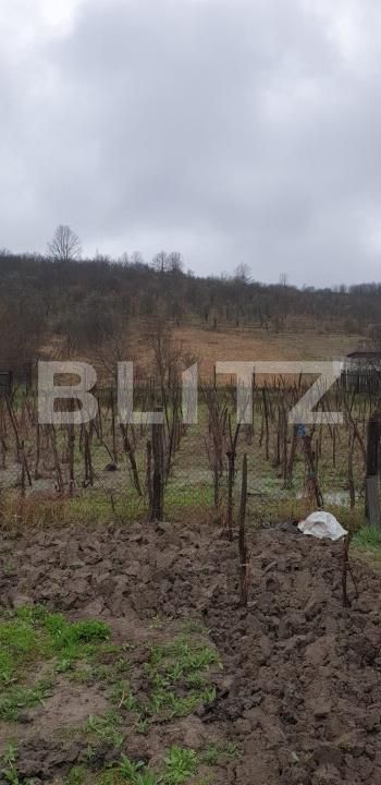 Casa de vânzare 3 camere Exterior Sud - 203250CV | BLITZ Craiova | Poza4