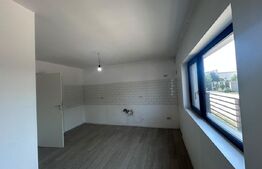 Casa cu 4 camere, P+1, cartier Damila