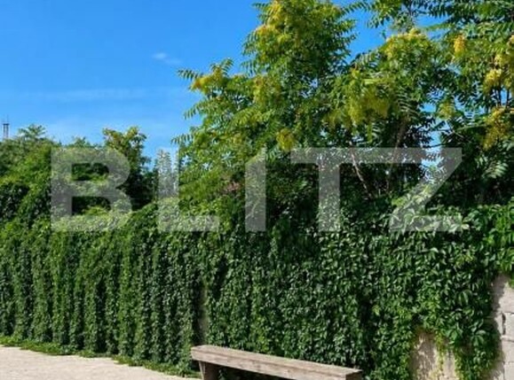 Apartament de închiriat 3 camere Ultracentral - 203333AI | BLITZ Craiova | Poza19