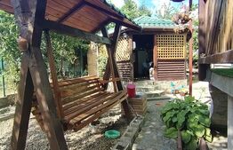 Vila P+1+M, 220 mp, teren 527 mp, zona Damila