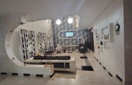 Vila P+1+M, 220 mp, teren 527 mp, zona Damila