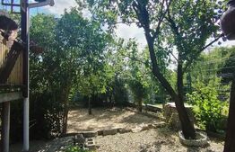 Vila P+1+M, 220 mp, teren 527 mp, zona Damila