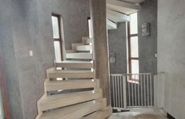 Vila P+1+M, 220 mp, teren 527 mp, zona Damila
