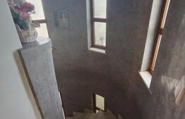 Vila P+1+M, 220 mp, teren 527 mp, zona Damila