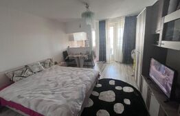 Garsoniera de inchiriat, 30 mp, cartierul Brazda lui Novac