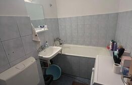 Garsoniera de inchiriat, 30 mp, cartierul Brazda lui Novac