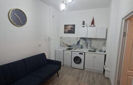 Garsoniera de vanzare, 28.94 mp,  zona Mercur
