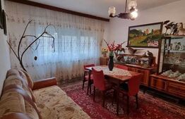 Apartament 2 camere, 47 mp, zona Brazda lui Novac