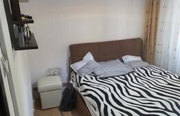 Apartament 2 camere Craiovița | Renovat | Parter înalt 3m 