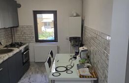 Apartament 2 camere Craiovița | Renovat | Parter înalt 3m 