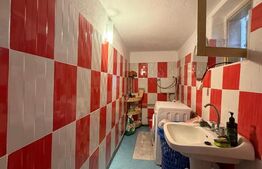 Casa de vanzare, 150 mp, teren 13000 mp, zona Râului