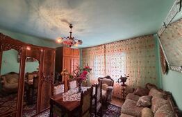 Casa de vanzare, 150 mp, teren 13000 mp, zona Râului