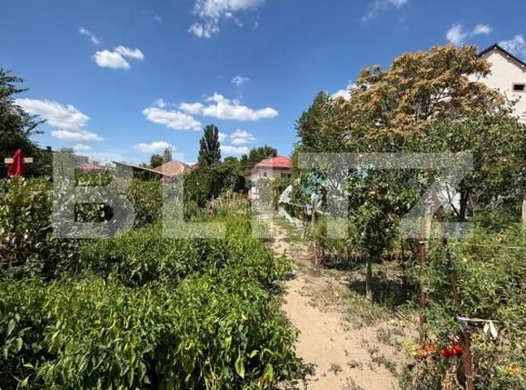 Casa de vânzare 5 camere Lascar Catargiu - 203445CV | BLITZ Craiova | Poza17