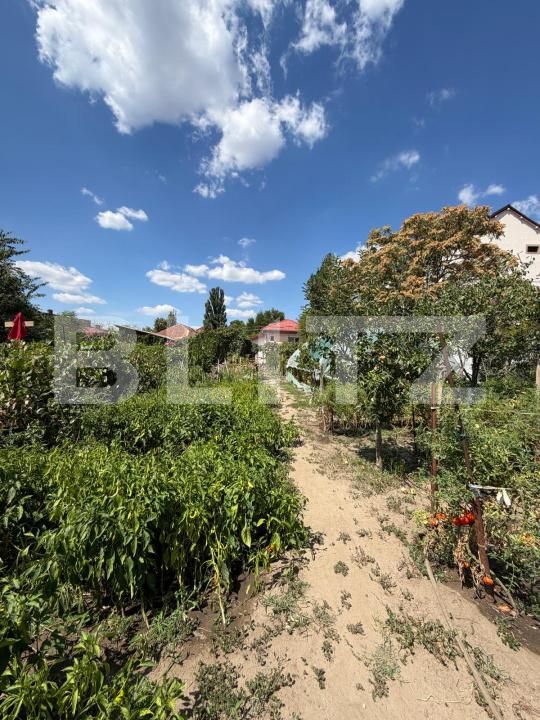 Casa de vânzare 5 camere Lascar Catargiu - 203445CV | BLITZ Craiova | Poza17