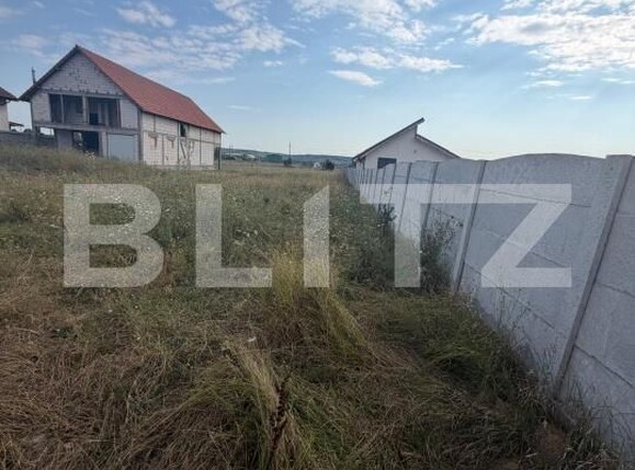 Teren de vânzare Filiaşi - 203578TV | BLITZ Craiova | Poza2