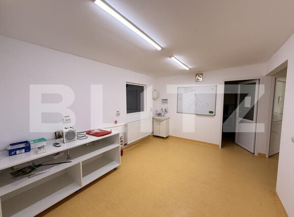 Spațiu industrial de închiriat Exterior Est - 203664SII | BLITZ Craiova | Poza5